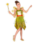 Forest Fairy  Dress, Wings 
