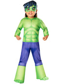 Hulk Costume for Toddlers 1