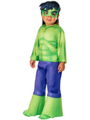 Hulk Costume for Toddlers 5