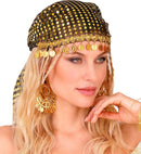 Pair Of Golden Earrings With Coins