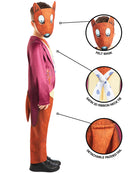 Fantastic Mr Fox Costume for Kids Book Day