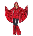 Dragon  Hooded Winged Shirt, Leg Warmers 