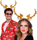 Reindeer Horns