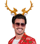 Reindeer Horns