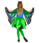 Butterfly  Tutu Dress, Wings, Antennas 