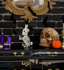 Rabbit Skeleton 16 Cm