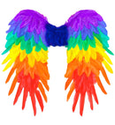 Rainbow Foldable Feather Wings 50X50 Cm