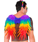 Rainbow Foldable Feather Wings 50X50 Cm