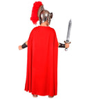 Roman Centurion  Tunic, Armour With Cape, Arm Guards 