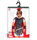 Roman Centurion  Tunic, Armour With Cape, Arm Guards 
