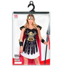 Roman Centurion  Tunic, Armour With Cape, Headband, Armgaurds 