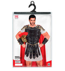 Roman Centurion  Tunic, Armour With Cape, Arm Guards 