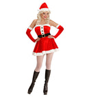 Miss Santa Velvet & Plush  Dress, Belt, Gloves, Hat 