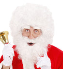 Santa Claus Wig, Beard & Eyebrows In Polybag