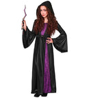 Witch  Hooded Dress With Spider Brooch 