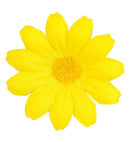 Set Of 20 Decorative Yellow Flowers