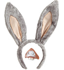 Donkey Sets  Ears, Mouth 