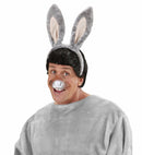 Donkey Sets  Ears, Mouth 