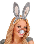 Donkey Sets  Ears, Mouth 