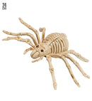 Spider Skeleton 24 Cm 