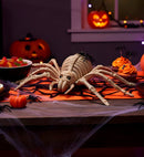 Spider Skeleton 24 Cm 