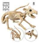 Rat Skeleton 40 Cm 