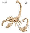 Scorpion Skeleton 30 Cm 