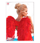 Red Foldable Feather Wings 80X60 Cm