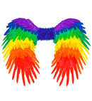 Rainbow Foldable Feather Wings 80X60 Cm