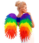 Rainbow Foldable Feather Wings 80X60 Cm