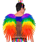 Rainbow Foldable Feather Wings 80X60 Cm