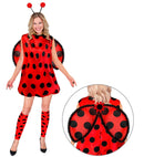Ladybug  Dress, Leg Warmers, Wings, Antennas 