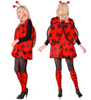 Ladybug  Dress, Leg Warmers, Wings, Antennas 