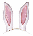 Bunny Ears