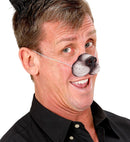 Cat Nose