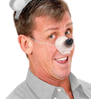 Mouse Nose