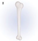 Giant Bone 38 Cm