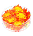 Box Of 20 Orange/Yellow Decorative Daisy Flowers