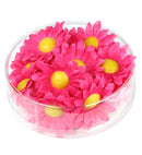Box Of 20 Fuchsia Decorative Daisy Flowers