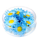 Box Of 20 Light Blue Decorative Daisy Flowers