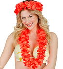 Sea Shell Bra