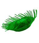 Green Straw Ipanema Hat