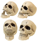 Pvc Skull With Movable Jaw 21 Cm