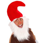 Gnome Hat With Beard & Eyebrows