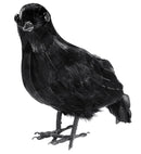 Feathered Crow 27 Cm