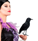 Feathered Crow 27 Cm