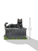 Fortunes Watcher Cat Familiar Tarot Box Fortunes 17cm 4