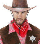 Sheriff Star Metal