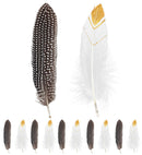 Set Of 12 Native Indian Feathers 2 Colors Ass.