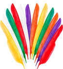 Set Of 12 Native Indian Feathers 35 Cm - 6 Col. Ass